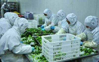 明確目標，把握機遇 國家500萬補貼助力農產品加工發展