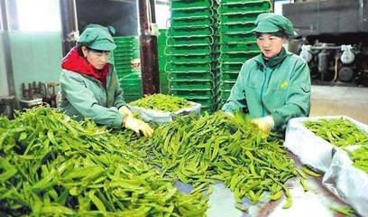 中央財政百億扶持農產品加工，破解生鮮高損耗率難題