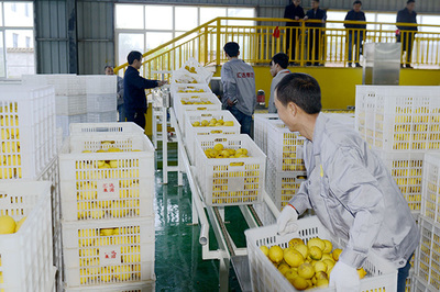 重慶農商行 引金融活水“貸”動鄉村產業發展，助力農產品加工升級