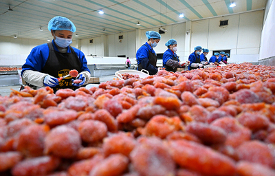 眉山仁壽 發展農產品加工 助力農民增收致富