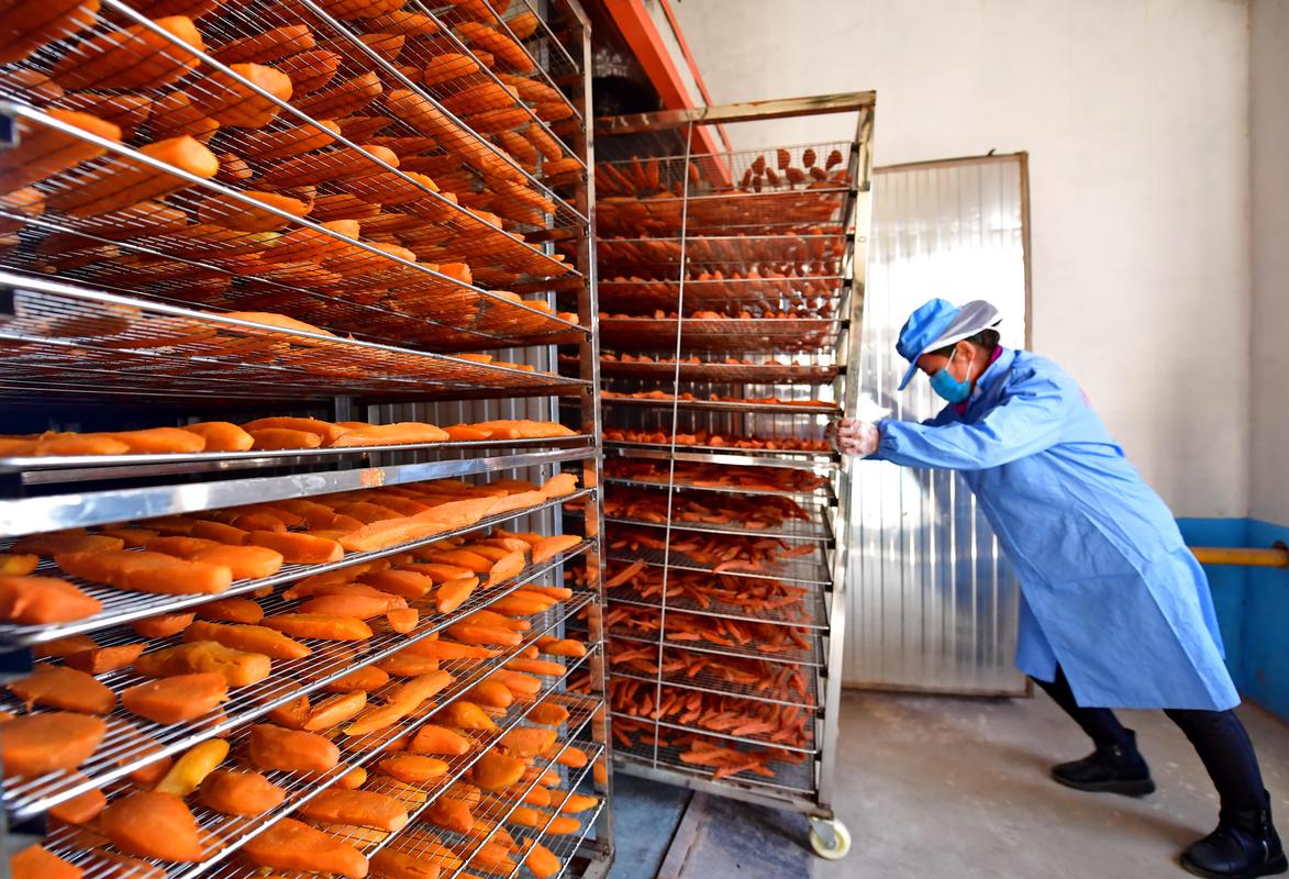 河北灤州 農產品深加工的“大商機”