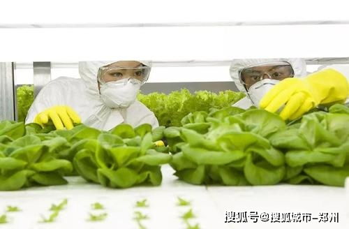 全力推進國際農產品加工產業園與重點水利工程建設 助推農業現代化發展