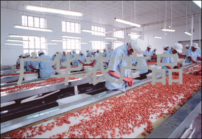 山東廣華農產品 推動農產品加工升級，助力鄉村振興