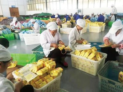 保山市農產品加工業 邁上高質量發展新臺階