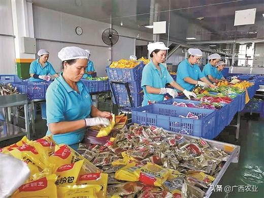 加工帶動產業升級，廣西“好嘢”農產品香飄萬里