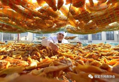 推進農產品加工轉型升級，打造鄉村產業振興新引擎