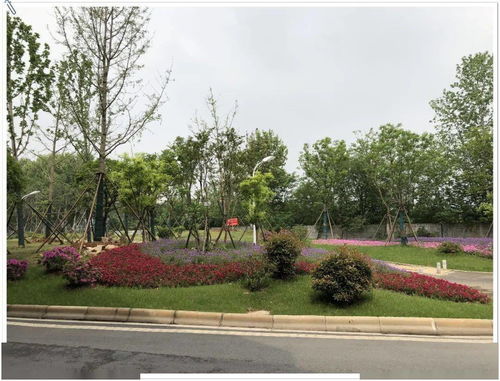 兩金 兩銀 武漢園建斬獲4項(xiàng)武漢市園林綠化優(yōu)質(zhì)工程獎