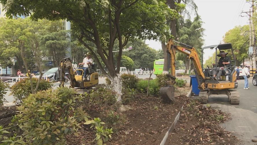 應(yīng)城市園林綠化服務(wù)中心全面啟動漢宜大道、古城大道綠化改造及體育場地設(shè)施工程建設(shè)