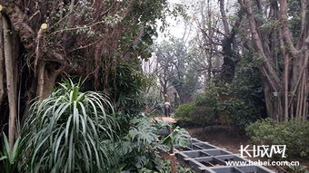 唐山世園熱帶植物館 奧秘與魅力的交織，體育場地設(shè)施工程的匠心打造