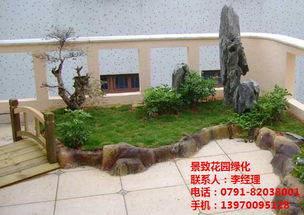 南昌綠化養護與苗木價格行情全解析 聚焦景致與園林施工養護